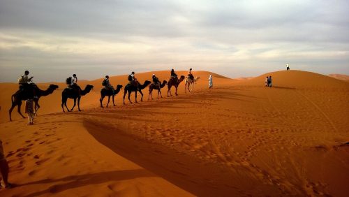 Reise-Center Hagemann reitet auf Kamelen.