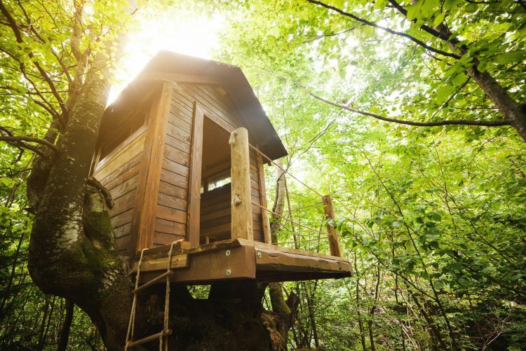 Reisetipps: Übernachtest du in einem Baumhaus.